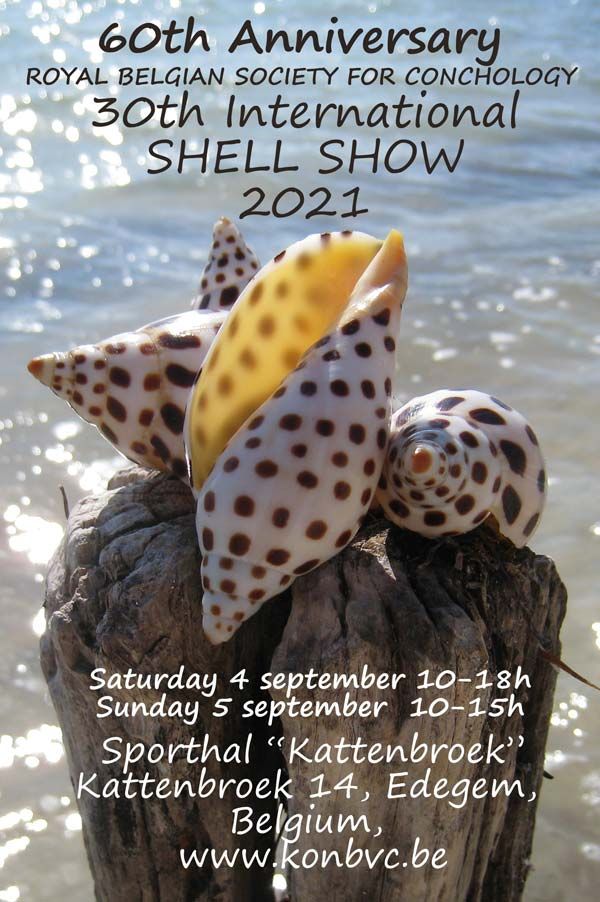 30th International Shell Show-2021